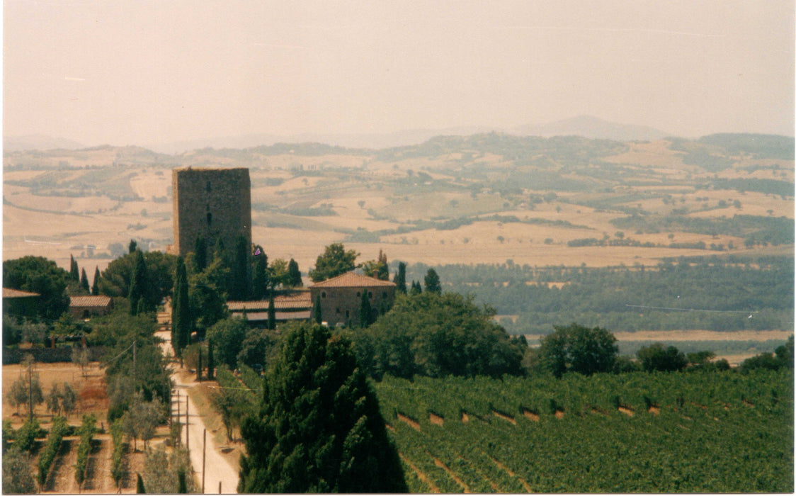 Rosso di Montalcino Castello di Argiano, Sesti, Tuscany 2022