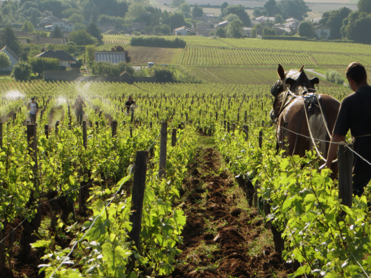 Domaine de Pouilly Pouilly Fuissé 1er Cru "Au Clos" 2021