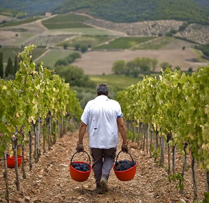 Sangiovese ‘Brio’, Castello Romitorio, IGT Toscana 2022